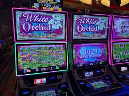 3dsky Conoce Super Sic Bo en 3dsky, tu opción de casino en vivo en México